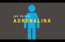 Jak działa adrenalina?