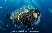 Wyłoniono laureatów Ocean Art Underwater Photo Contest [ENG]