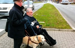 Pies asystent niepełnosprawnego niewpuszczony do banku