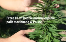 10 lat legalnego palenia w Polsce. Rusza eksperyment naukowy Cannabis...