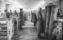 Pierwszy dzień w obozie koncentracyjnym Ravensbrück