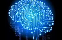 Połączenie mózgu z komputerem pozwoli rozwinąć nowe zmysły