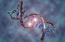 O tym, jak komórki naprawiają zniszczone DNA