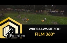 Wrocławskie ZOO na filmie 360°