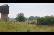 1000 mil w Zonie. Eksploracja opuszczonych miejscowości obok Czarnobyla.