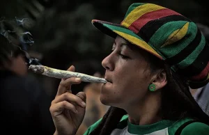 Legalna marihuana w Polsce: Eksperyment dla 170 tys. osób!