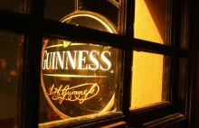 Wegański Guinness już w przyszłym roku