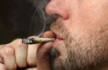 Francja zastanawia się, jak walczyć z marihuaną