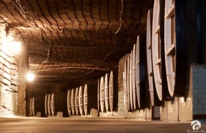 Milestii Mici - największa na świecie kolekcja wina