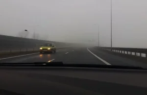 S7, mgła i "wynurzająca się corsa". Jechała pod prąd - Polska w Kontakt 24