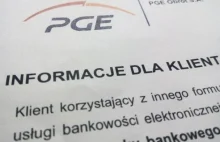 Polskie Sieci Elektroenergetyczne nie chcą zarobić?