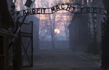 Polska policja zamknęła w areszcie grupę Żydów wychodzących z... Auschwitz