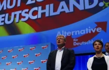 Niemcy: Lobby żydowskie walczy z wolnością słowa i domaga się delegalizacji AFD.