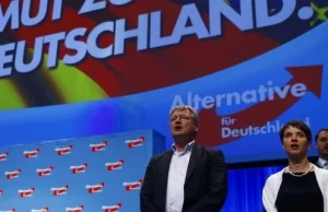 Niemcy: Lobby żydowskie walczy z wolnością słowa i domaga się delegalizacji AFD.