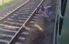 Nieudany hinduski trik z wychylaniem się z pociągu