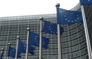 UE chce zakazać ASG [ENG]