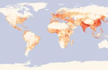 Gęstość zaludnienia na świecie [infografika]