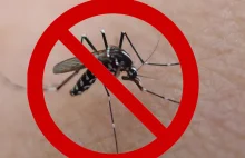 Co stałoby się, gdybyśmy zabili wszystkie komary na świecie?