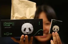 Chińczycy produkują chusteczki higieniczne z kału pandy
