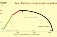Dokąd zmierza ludzkość? Eksperyment Calhouna.