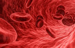 Badanie żywej kropli krwi?