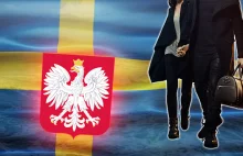 Szwedzi zdradzają, dlaczego migrują do Polski. „Ten kraj jest …