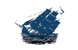 Polityka w Internecie: Partia Piratów udostępniła DNS bez cenzury