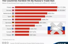 Zobacz jakie państwa najmocniej ucierpiały z powodu rosyjskich sankcji...