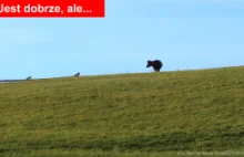 Ważna zmiana w obrocie ziemią