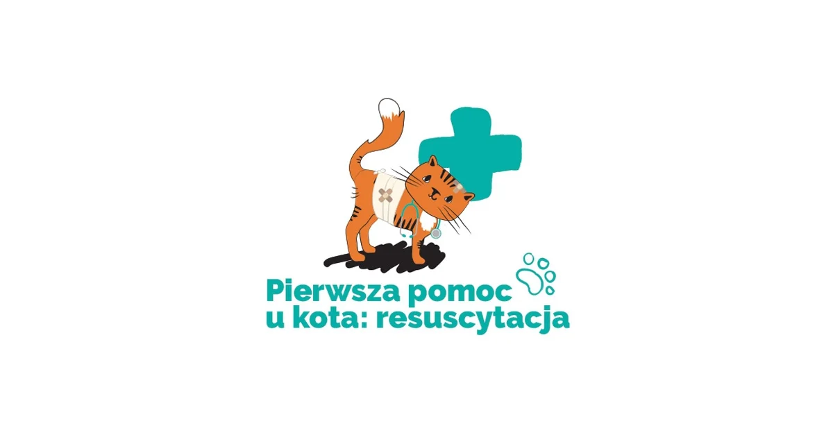 Infografika Pierwsza Pomoc U Kota Resuscytacja Wykoppl 6657