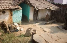 Indie: "Czarownice" rozebrano do naga i obrzucono odchodami