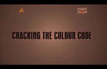 Złamać kod kolorów cz.1: Widzenie barw. (kolejne części w powiązanych)