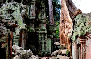 Angkor Wat - świątynie ukryte w dżungli