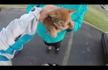 Motocyklistka ratuje małego rudego kotka na skrzyżowaniu