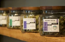 Sklepy z marihuaną bardziej lukratywne od znanej sieci Whole Foods.