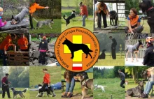 Wesprzyj Małopolską Cywilną Grupę Poszukiwawczo Ratowniczą o GPS dla psów