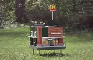 Oto najmniejszy McDonald’s świata, a zarazem… ul