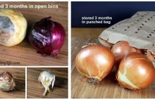 Jak przechowywać cebulę, aby zachowała świeżość miesiacami (ENG)
