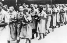Eksperymenty Auschwitz dla koncernu od... aspiryny. Wstrzykiwali kobietom chemię