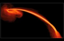 Obserwacja unicestwienia gwiazdy przez czarną dziurę