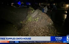 Massive tree falls on LACCD board trustee’s Burbank home