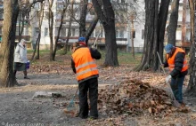 Mogą odpracować 10 tys. zł czynszu. Połowa dłużników rezygnuje