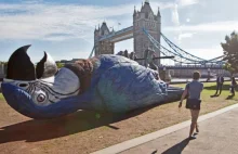 Londyn świętuje powrót Monty Pythonów. Wielka papuga nad Tamizą.