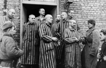 Dlaczego akurat ja przeżyłem Auschwitz? – zastanawiał się Witold Pilecki