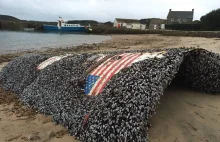 Fragment rakiety SpaceX odkryty u wybrzeży Wielkiej Brytanii