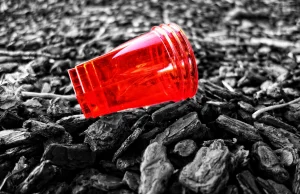 Unia Europejska chce zakazać jednorazowych plastików