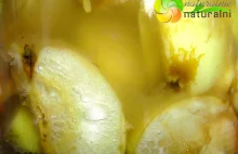 Banalnie prosty przepis na ocet jabłkowy! Jak zrobić ocet jabłkowy?