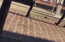 Polak bije trzech policjantów - tak sobie radzą nasi w Holandii