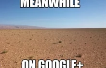 Co dalej z Google+?