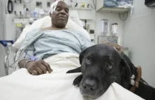 Pies uratował mu życie. Trwa walka o zwierzę